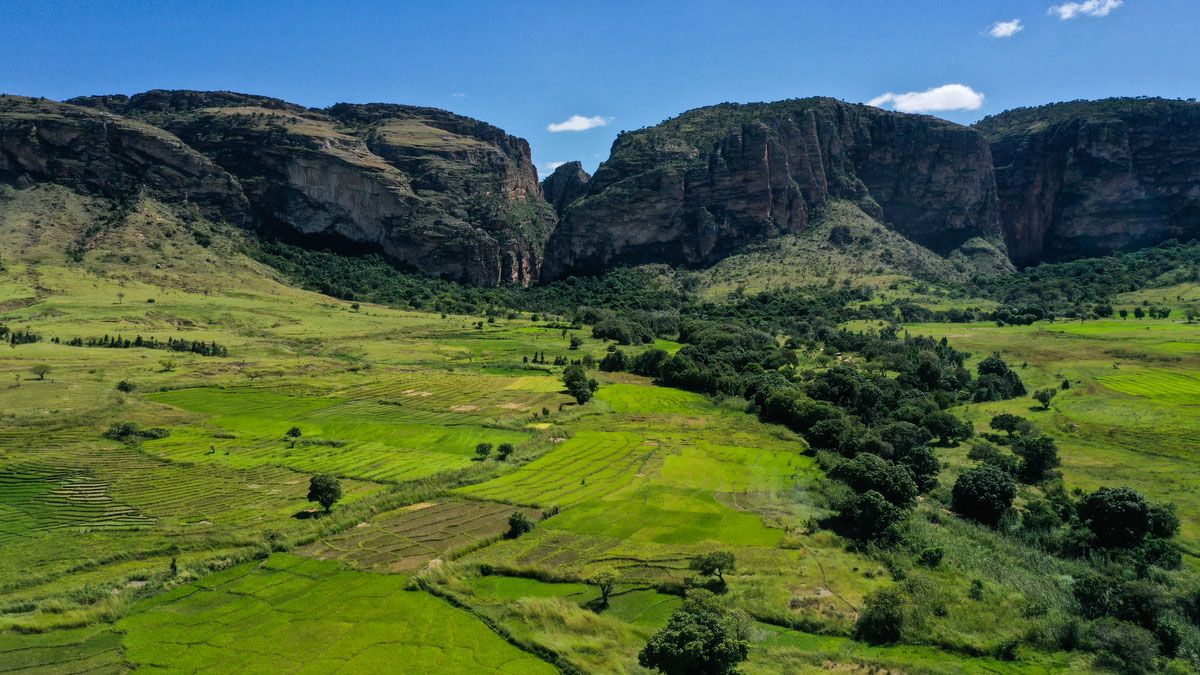 Madagascar's Nature - Constantinos