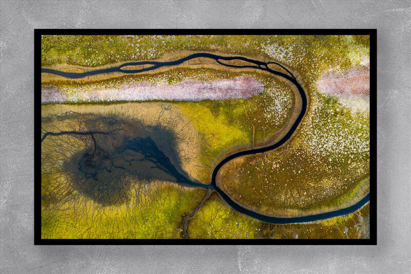 AQUATIC DESTINY 19