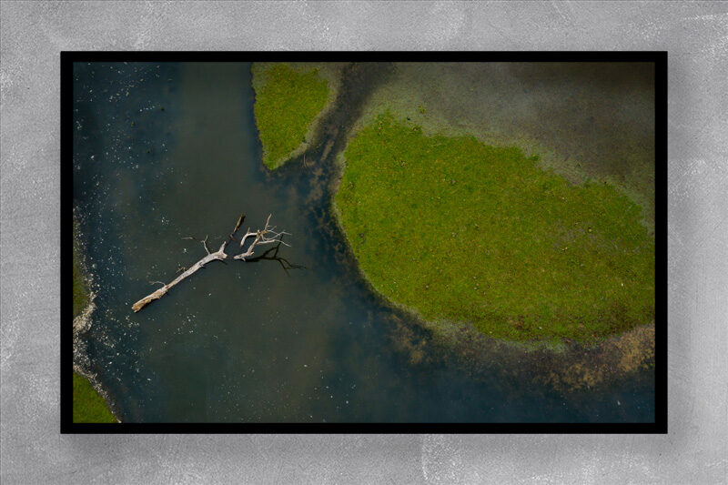 AQUATIC DESTINY 8