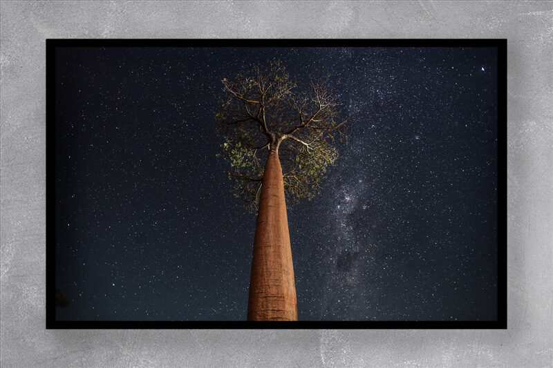 LIFE IN MADAGASCAR 8