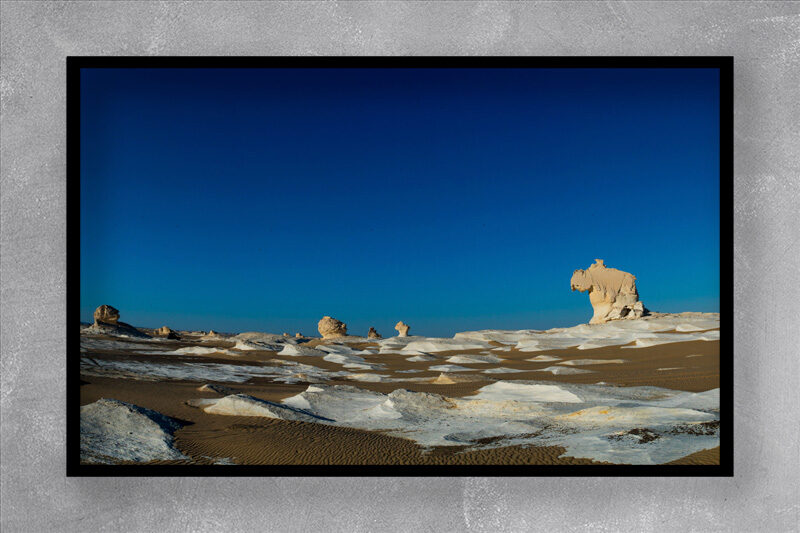 STONEY ZOO, SAHARA
