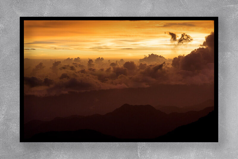 JAMAICAN SUNRISE