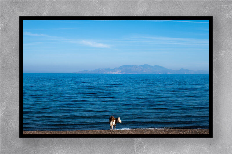 UNTITLED