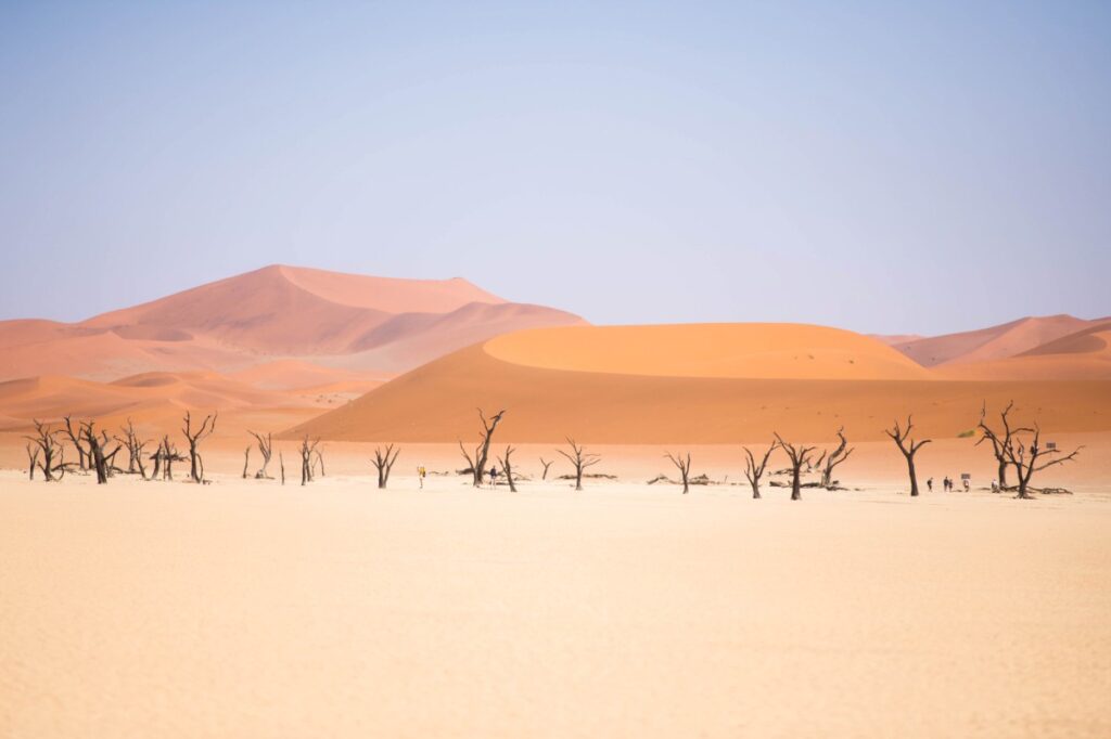 Namibian Desert