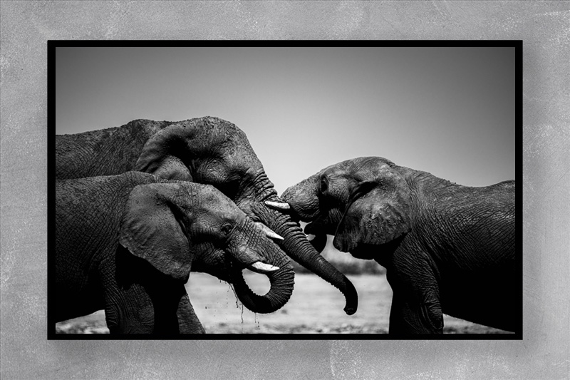 NAMIBIA