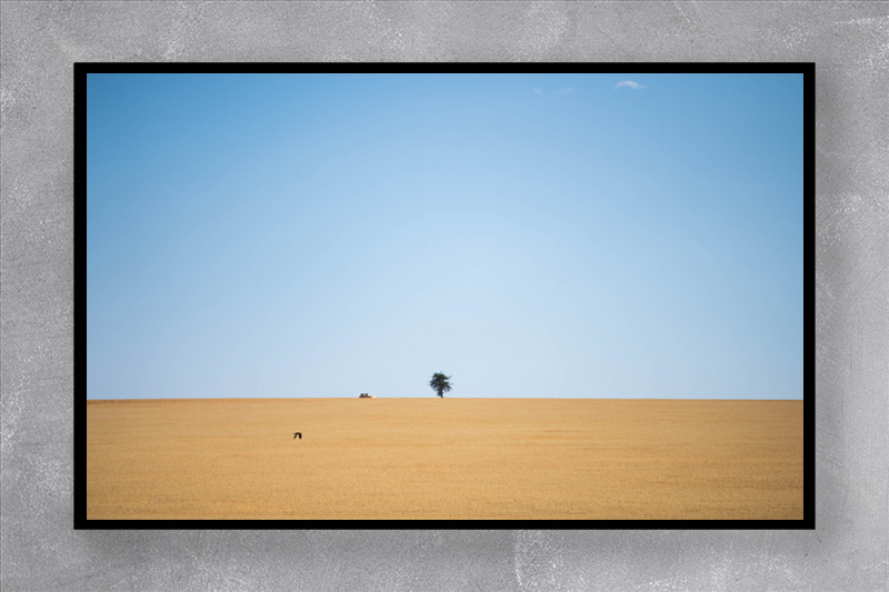 NAMIBIA
